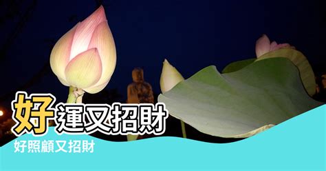 野薑花風水|【野薑花風水】野薑花風水：室內擺放能帶來好運嗎？